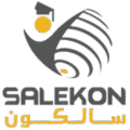 اكاديمية سالكون شعار removebg preview